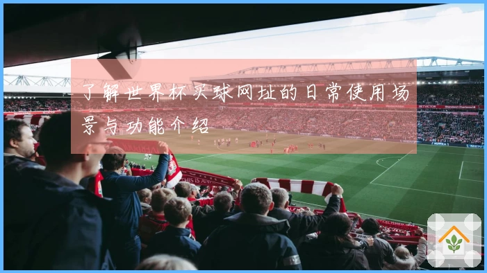 了解世界杯买球网址的日常使用场景与功能介绍