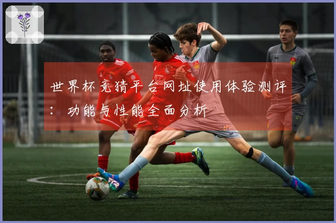 世界杯竞猜平台网址使用体验测评：功能与性能全面分析