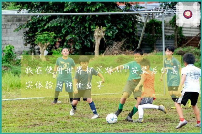 我在使用世界杯买球APP安装后的真实体验与评价分享