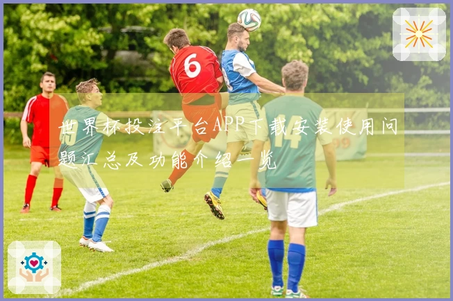 世界杯投注平台APP下载安装使用问题汇总及功能介绍一览