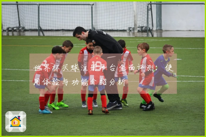 世界杯买球注册平台全面评测：使用体验与功能介绍分析