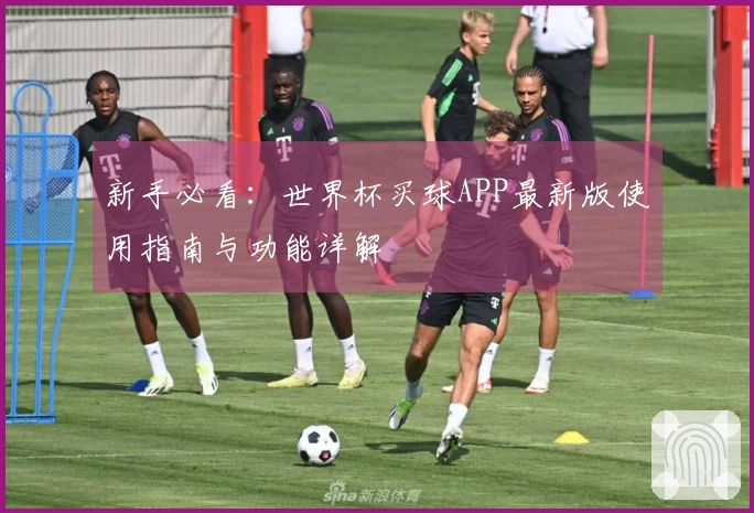 新手必看：世界杯买球APP最新版使用指南与功能详解